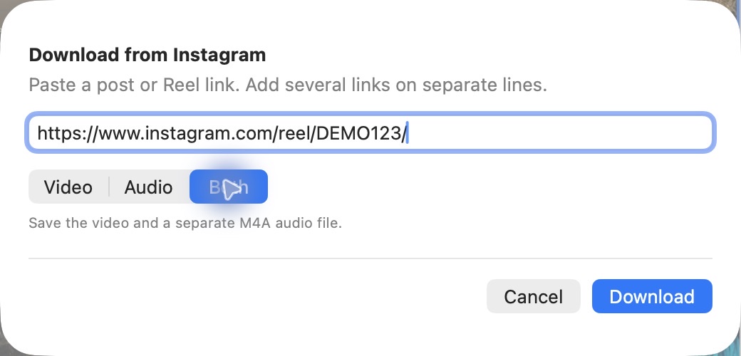 The PostShelf URL sheet with a pasted Reel link and Video, Audio and Both output choices.